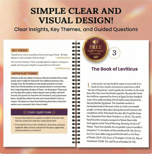 Beginner's Bible Study Guide