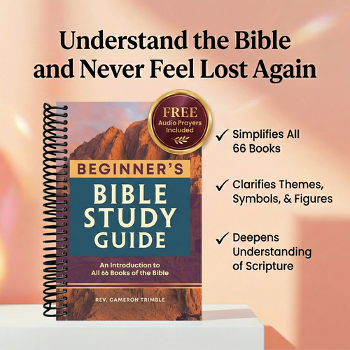 Beginner's Bible Study Guide